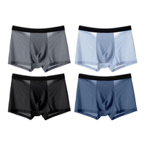 Summer Thin Breathable Underwear Mens 2024 Boxer Ice Silk Modal Pants Youth Mesh Mesh Large Size Shorts