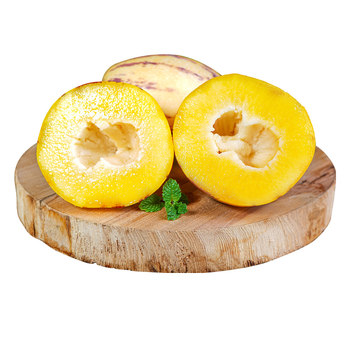 Ripe yellow-fleshed large fruit desert ginseng fruit on tree in gansu