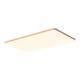 Arrow Japanese living room main light 2026 new ceiling light
