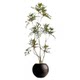 The top ten contributions of simulated green plant potted plants in indoor living rooms