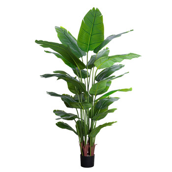 Large living room floor ornaments indoor sofa tv cabinet next to fake plants traveler canna bird of paradise simulated green plants