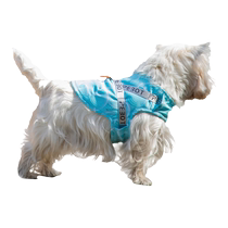 PEBOT Summer Heidwei triple cooling pets cool and cool chest back dog clothes small and medium dog can pull vest