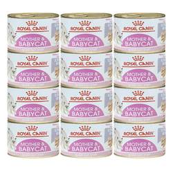 Royal milk cake canned kittens during the weaning period and lactation period ອາ​ຫານ​ປຽກ​ອາ​ຫານ​ຫຼັກ​ອາ​ຫານ​ສາ​ມາດ​ໂພ​ຊະ​ນາ​ການ fattening gills ແມວ 195g ກະປ໋ອງ