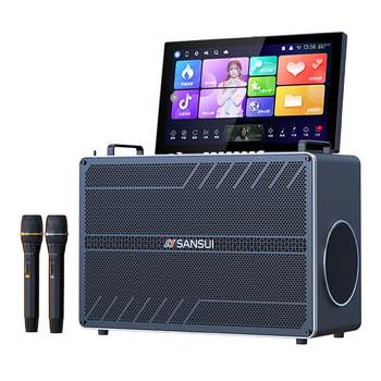 Shanshui 2024 new home ktv audio set