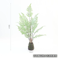 Корень мха ручной работы, большое дерево персидского папоротника