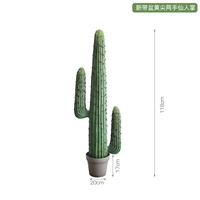 Новый с желтым кончиком вновь с двумя руками кактуса