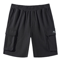Camel Mens Casual Shorts 2024 Summer New Loose Straight Cotton Feel Breathable Workwear Mens Five-Point Pants