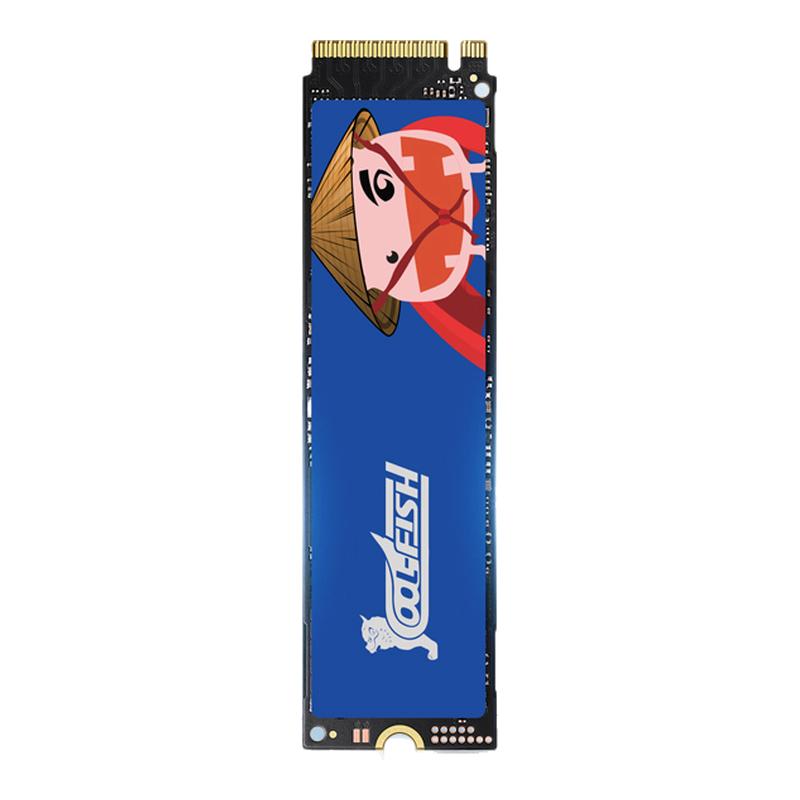CoolfishM.2 interface 512g1T2T computer ssd