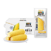 North latitude 47 degrees yellow waxy fresh corn 200g*10 ears Northeast Heilongjiang sweet corn vacuum packed corn sticks