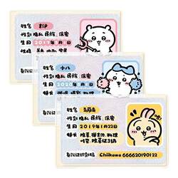 Id Card Protective Cover, Document Holder, Access Control Card, Meal Card, Work Badge Card Holder, Campus Student Information Cover, Cute Usagi