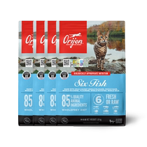 (Self-operated) Desire for Beautiful Hair Skin Care General Cat Food for Adult Cats and Kittens with Six Kinds of Fish 1 8kg*4