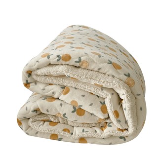 羊羔绒毛毯被子冬季加厚盖毯珊瑚绒毯子床上用宿舍午睡毯加绒保暖