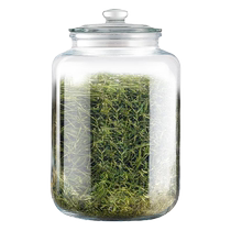 茶叶罐高档玻璃密封罐大号陈皮储存罐专用普洱白茶商用瓶储物罐桶