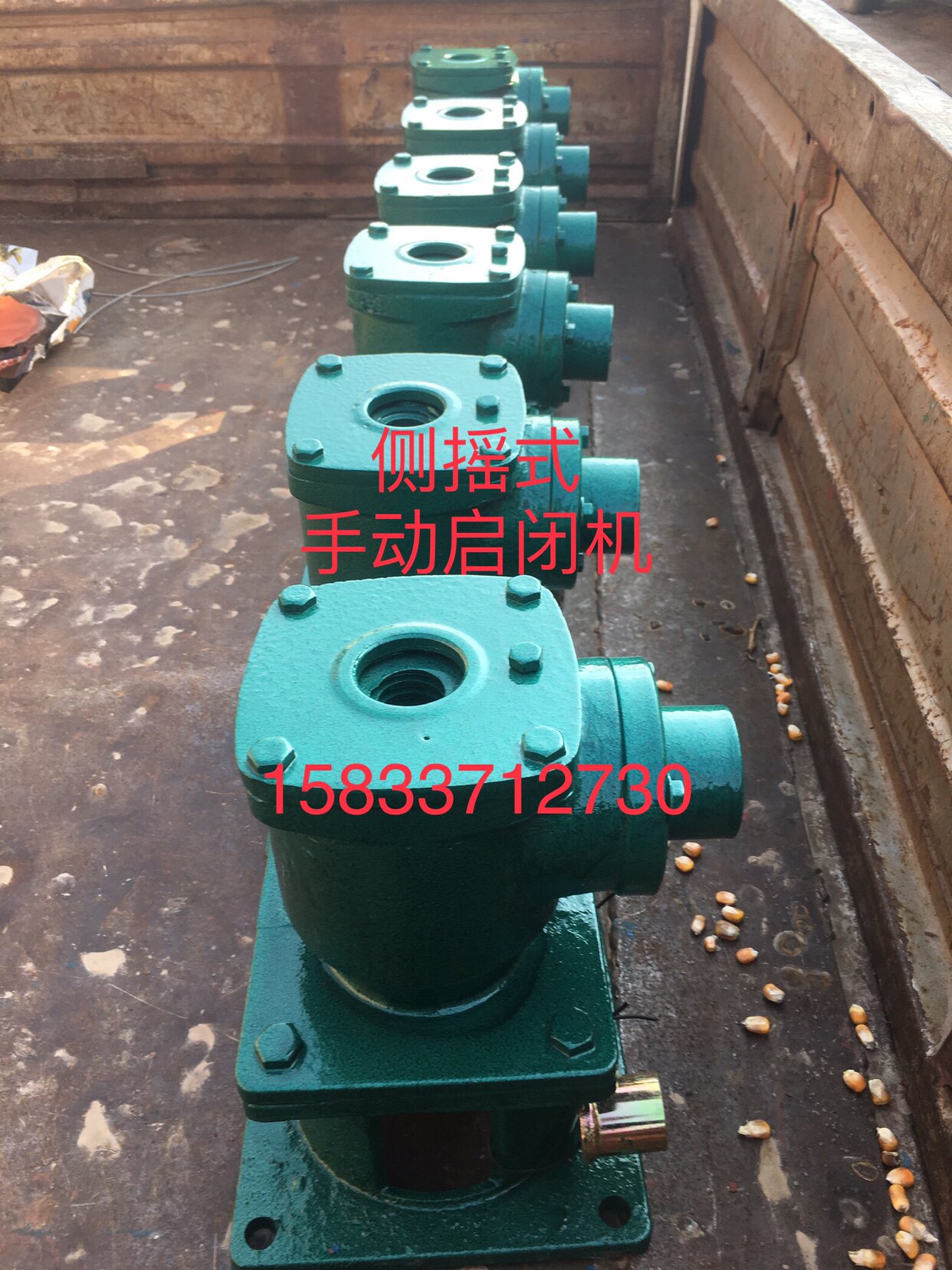 Factory direct hoist gate, side rocker manual screw hoist, cast iron gate, stainless steel flap