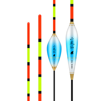 Xiao fengxian's eye-catching hollow tail thickened myopic crucian carp