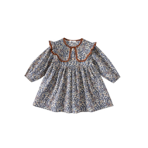 Girl Spring Dress Dress Dress 2024 New Little Girl Foreign Air Princess Skirt Child Skirt Baby Boy Dress Spring Autumn