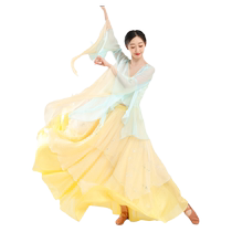 Ye Luoqing Dance Classical Dance Costumes Contrast Color Mesh Splicing Large Swing Skirt Elegant Chinese Dance Practice Gauze Performance Costumes