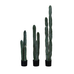 Simulated Cactus, Palm, and Other Succulent Plants, Tropical Desert Indoor Floor-Standing Versatile Plant Potted Decoration