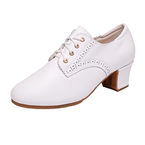 High-end waltz dance shoes international standard dance shoes multi-color outdoor straight-soled ballroom dance performance dance shoes