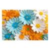 The most popular 10W+ diatom mud absorbent pad at a loss