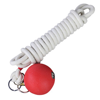 Fitness meteor double ball solid rubber