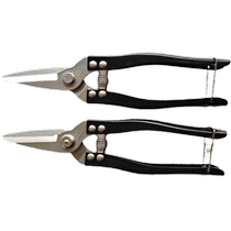 Luoding stainless steel fruit scissors sugar orange small yellow fruit picking scissors tribute orange navel orange fruit scissors