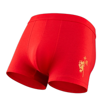 Cat mans zodiac year underwear mens red boys pure cotton boxer briefs wedding gift boxer shorts head belongs to the Year of the Dragon