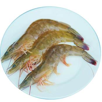 Fresh prawns, white prawns, 22 cm extra large