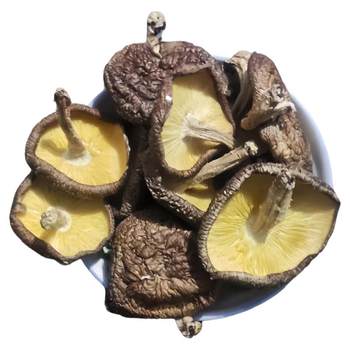 Organic basswood mushroom 500g shaanxi specialty