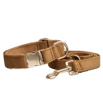 Engraved collar adjustable breathable anti-loss collar