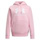 Under Armour ທີ່ເປັນທາງການຂອງ UA ການຝຶກອົບຮົມການອອກກໍາລັງກາຍຂອງແມ່ຍິງກິລາບາດເຈັບແລະ hooded ຮ້ອນ sweatshirt