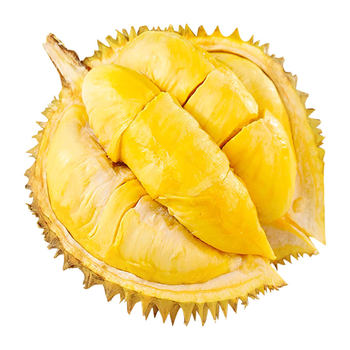 Thai golden pillow palm small durian fruit fresh
