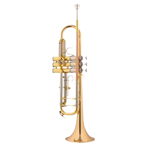 Zinbao Trumpet Musical Instrument Lowering B tunic playing test class brass double drain valve small number instrument JBTR-430