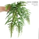 Ощущение симуляции 8-х феникса хвостового папоротника зеленый