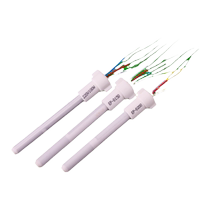 Huanghua EP-D100 150 200 constant temperature adjustable ironing accessories heating core printed circuit ceramic heating core