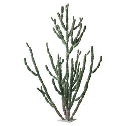 Simulated Cactus Green Plant Tropical Desert Landscaping Hotel Decoration Ornaments Large Fake Plant Cactus Landscape
