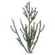 Simulated cactus plant landscaping interior decoration ornaments