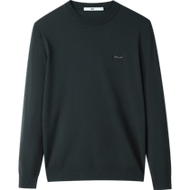 HLA Hailan House casual long-sleeved sweater 2024 autumn new round neck pullover slim sweater for men