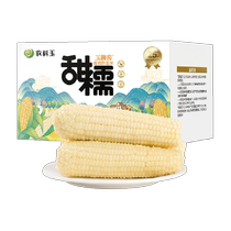Nongkoyu Corn Northeast Sweet Glutinous Corn Sweet Corn Open Bag Ready-to-eat Vacuum Corn 6 Branches 1 92kg Glutinous Corn