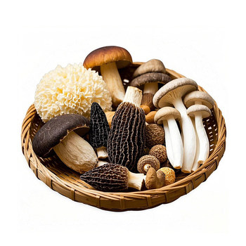 Yunnan fresh mushrooms matsutake porcini mushrooms shiitake mushrooms