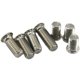 304 stainless steel press-rivet screws Xinyi