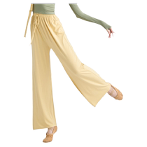 Dance Without Borders Dance Student Training Pants Adult Clothing Performance Clothes Loose Wide-leg Pants Modern Dance Training Performance Clothes