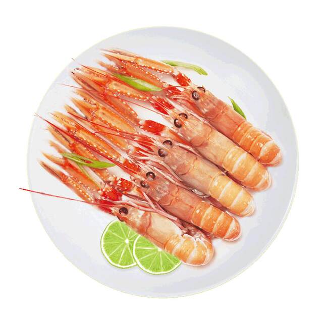 500g langoustine prawn fresh seafood aquatic products