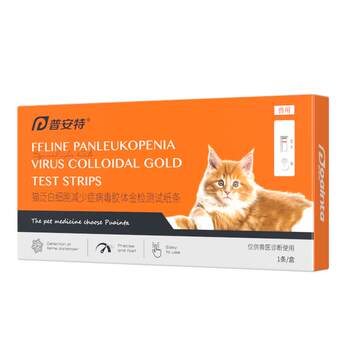 Pointe Feline Distemper Test Card FPV Cat Test Paper ອາຈຽນ, ຖອກທ້ອງ, ໄຂ້ Calicivirus Feline Distemper Test Paper