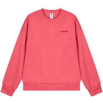 Anta sweatshirt women's loose neck round pullover bottoming shirt
