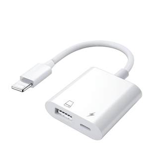 Convert apple external mobile hard drive to connect directly to ipad