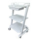 Korean all-steel mobile cart oral frame car equipment instrument car dental storage care beauty salon tool car