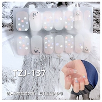 TZJ-137 Новая модель