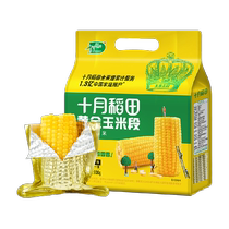 October Rice Field Golden Corn Section 800g Yellow Waxy Corn Grains Northeast Sticky Waxy Corn Low-fat Grains