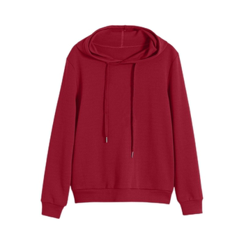 Hooded women's sweatshirt 2025 velvet new fashion casual loose warm versatile foreign style thickened jacket top